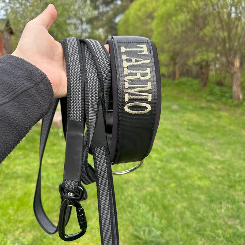 50mm säädettävät "Active" pistolukkopannat