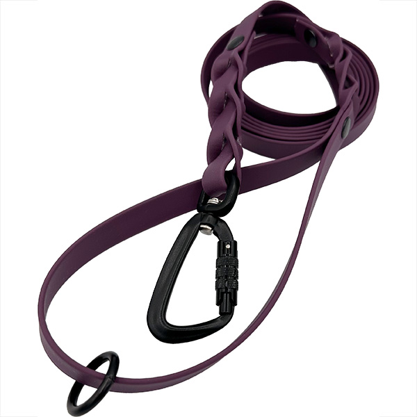Aubergine4