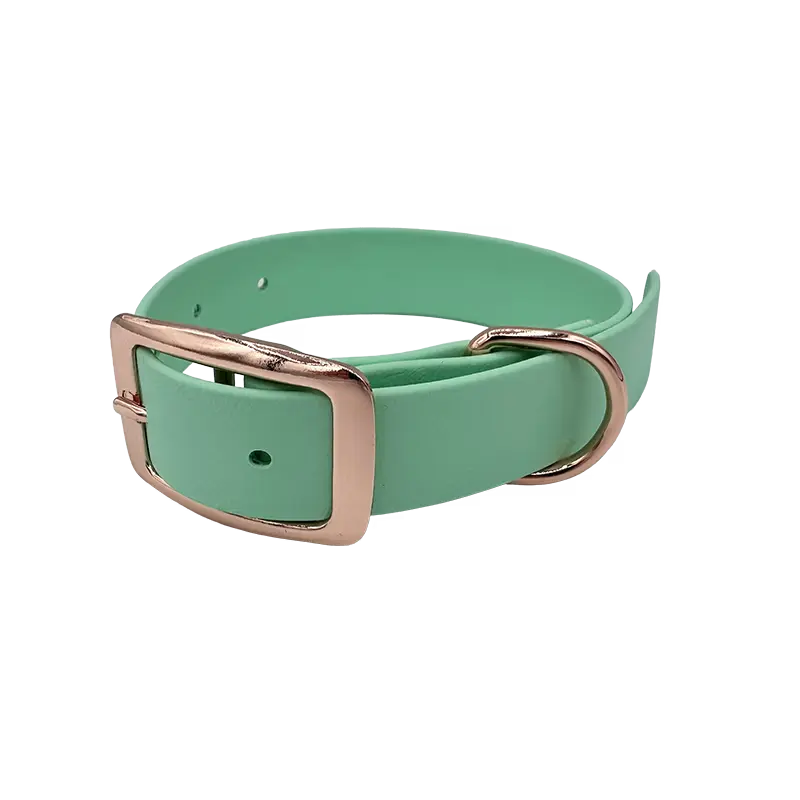 BioThane® -panta, 25mm, Caribbean Green, säätövara 20cm - 32cm,