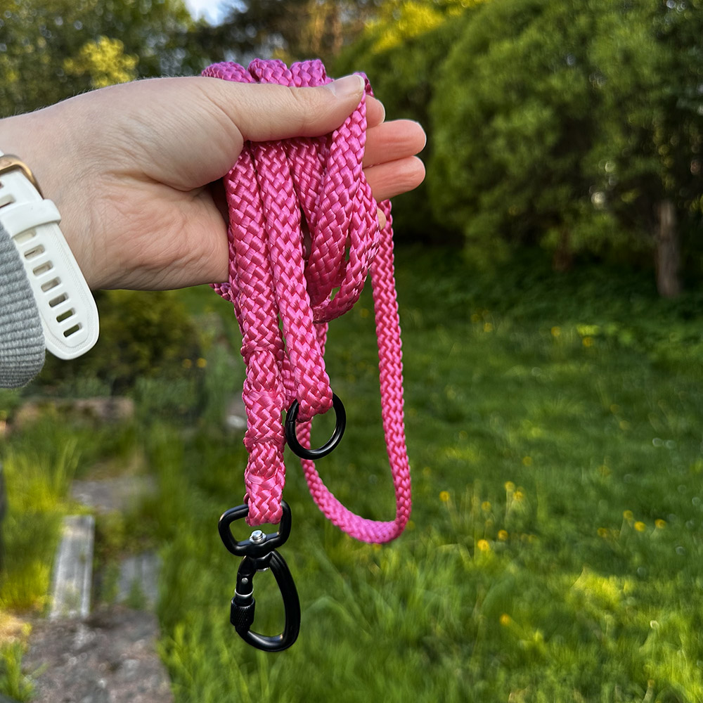 fuksia