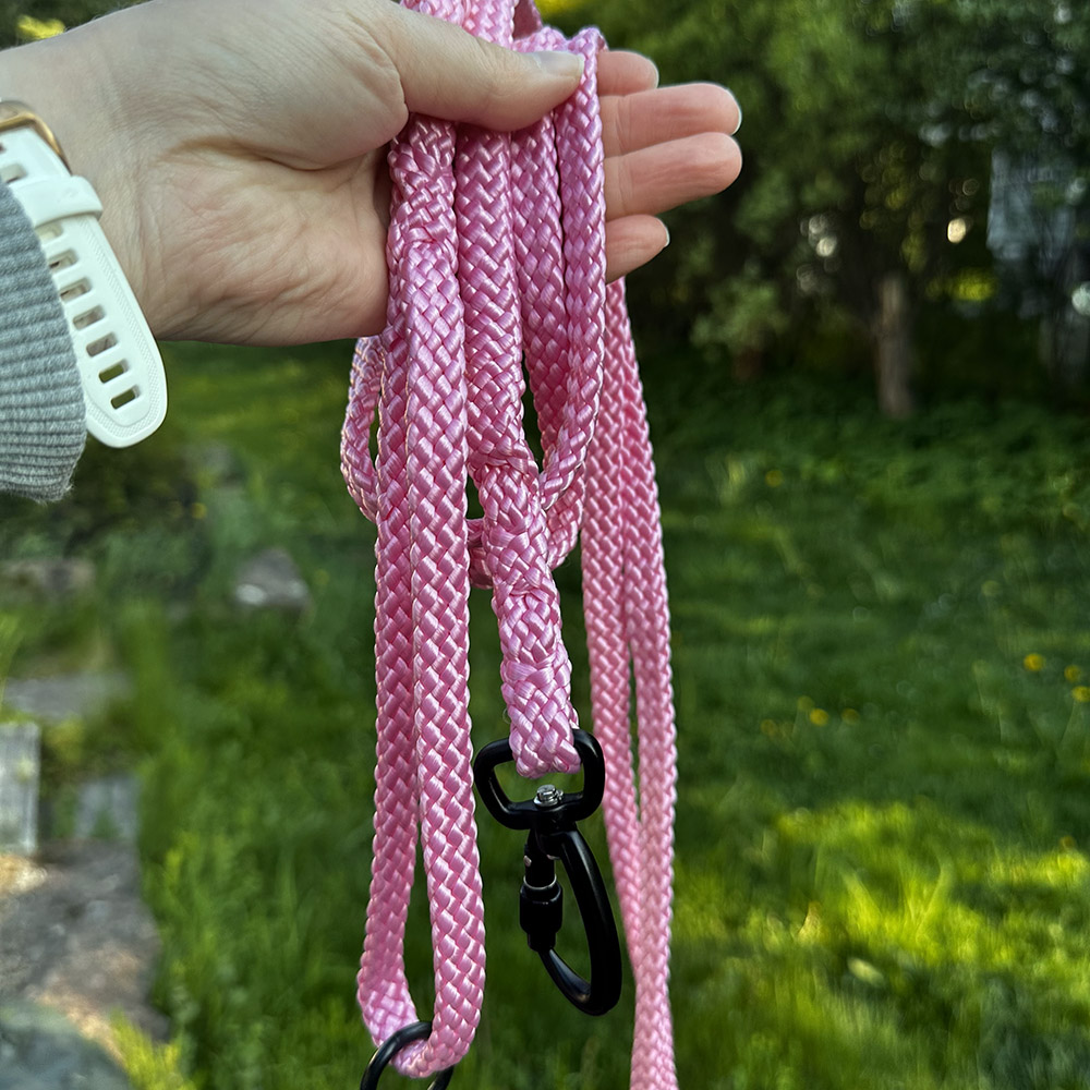 ruusunpinkki