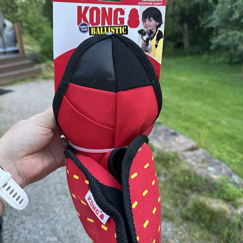 kong namipiilo2