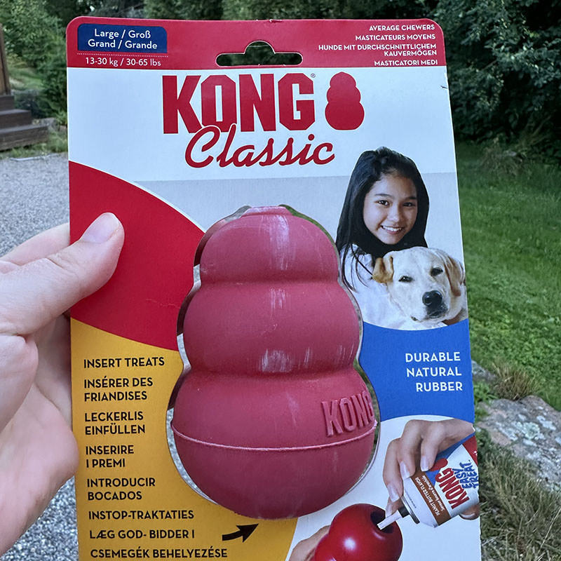 kong