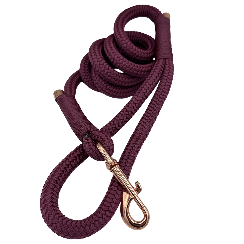 aubergine2