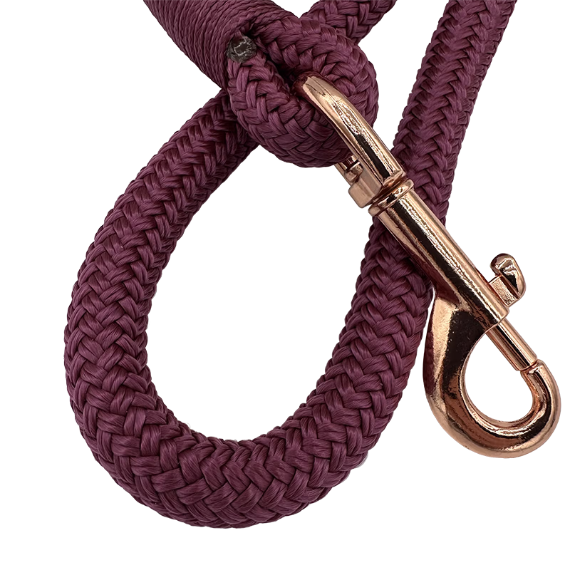 aubergine2
